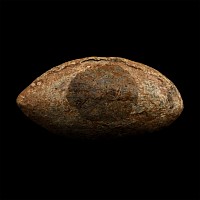 Greek Hellenic Inscribed Lead Slingshot