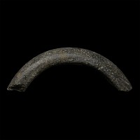 Celtic Shale Bracelet Fragment