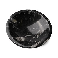 Polished Fossil Orthoceras Bowl