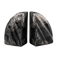 Polished Fossil Orthoceras Bookend Pair