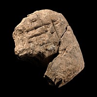 Mesopotamian Cuneiform Tablet Fragment