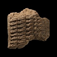 Mesopotamian Cuneiform Tablet Fragment
