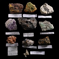 Mixed English and Spanish Crystal and Mineral Specimen Group