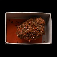 Crocoite Crystal Mineral Specimen