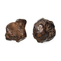 Asian Chondrite Meteorite Group