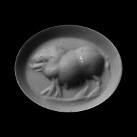Roman Nicolo Gemstone of Sow in Gold Ring
