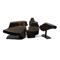 Egyptian Basalt Bassinophore Fragments for the Customs Official Wahibre, son of Paeftchawy