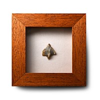 Framed British Stone Age Knapped Flint Arrowhead