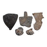 Medieval Pewter and Lead Pilgrim's Artefact Group