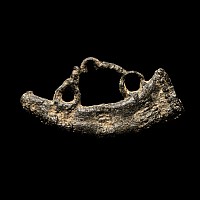 Medieval Pewter Pilgrim's Horn Badge of Saint Hubert