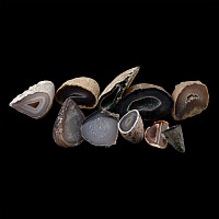 Mixed Cut and Polished Agate Half Geode Group [10]