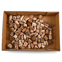 A Group of Ninety Two [92] Fossil Wood Specimens