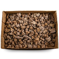 A Very Large Group of Medium Desert Rose Specimens