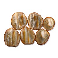 Group of Six [6] Large Cut, Polished and Felt-Backed Agate Coasters