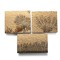 Manganese Dendrite Landscape Plaque Collection