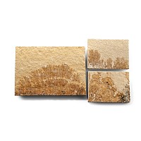 Manganese Dendrite Landscape Plaque Group