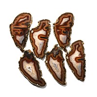 Cut and Polished Agate Geode Slice Group