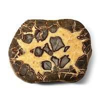 Massive Cut and Polished 'Septarian Egg' Half