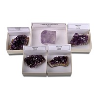 Group of Five [5] Amethyst and Fluorite Crystal Specimens