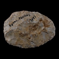 Stone Age Mousterian Hand Axe