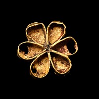 Western Asiatic Gold Flower-Shaped Pendant