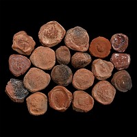 Roman Terracotta Bullae, Tesserae or Token Group