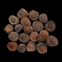 Roman Terracotta Bullae, Tesserae or Token Group