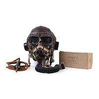 Complete Royal Air Force WWII Flying Helmet Set Up in Display Case