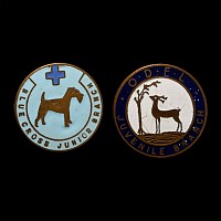 Post Medieval Enamelled Badge Group