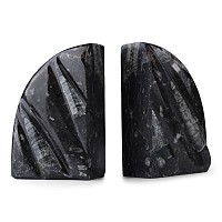 Polished Fossil Orthoceras Book End Pair