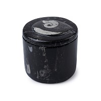 Polished Fossil Goniatite Lidded Pot