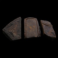 Fossil Mineral Mud Formation Specimen Group