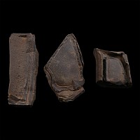 Fossil Mineral Mud Formation Specimen Group