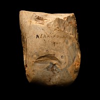 British Stone Age Polished Axe Head from Farnham