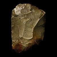 British Stone Age Knapped Langdale Tuff Axe Head