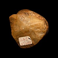 African Stone Age Homo Habilis Oldowan Stone Chopper