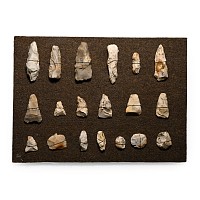 French Stone Age Axe and Other Knapped Flint Tool Display