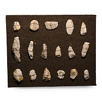 French Stone Age Axe and Other Knapped Flint Tool Display