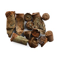 Anglo-Zulu War Artefacts from the Battle of Khambula