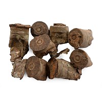 Anglo-Zulu War Artefacts from the Battle of Isandlwana