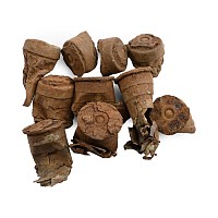 Anglo-Zulu War Artefacts from the Battle of Isandlwana