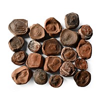 Roman Terracotta Bullae, Tesserae or Token Group