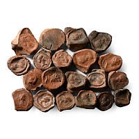 Roman Terracotta Bullae, Tesserae or Token Group