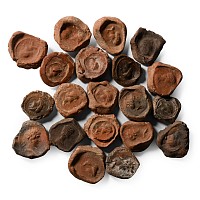 Roman Terracotta Bullae, Tesserae or Token Group