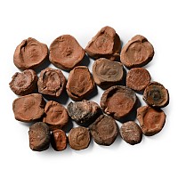 Roman Terracotta Bullae, Tesserae or Token Group