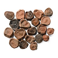 Roman Terracotta Bullae, Tesserae or Token Group