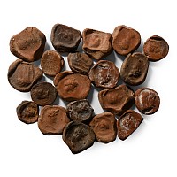 Roman Terracotta Bullae, Tesserae or Token Group