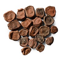 Roman Terracotta Bullae, Tesserae or Token Group