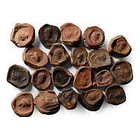 Roman Terracotta Bullae, Tesserae or Token Group