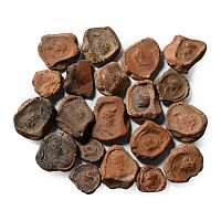 Roman Terracotta Bullae, Tesserae or Token Group